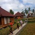 ubud sawah homestay