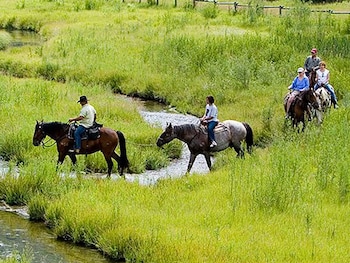 the sylvan lodge at snake river sporting club