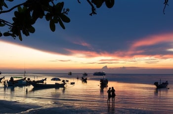 lotus hostel beach koh tao