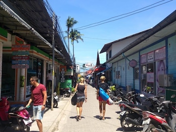 lotus hostel beach koh tao