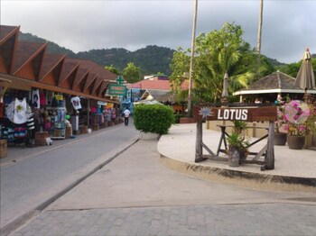 lotus hostel beach koh tao