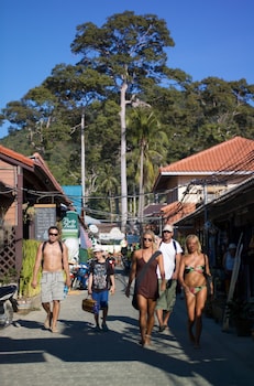 lotus hostel beach koh tao