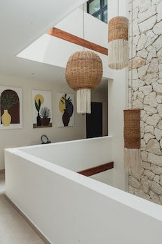 ah xok suites 5a avenida