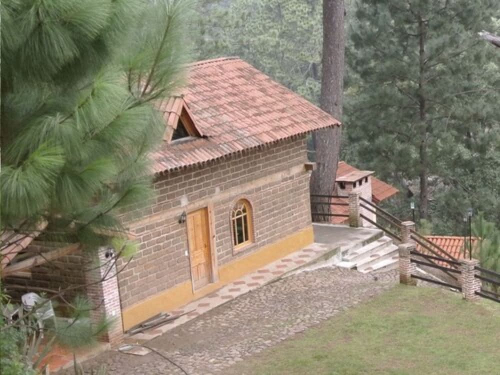 bosque la luna