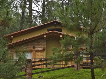 bosque la luna