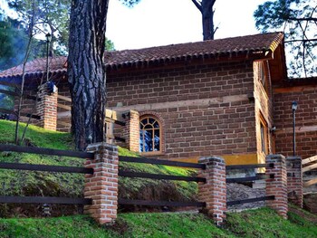 bosque la luna