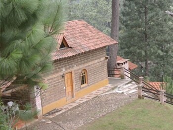 bosque la luna