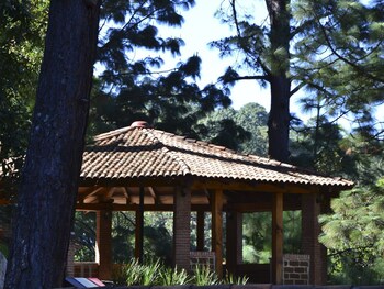 bosque la luna