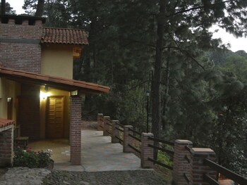 bosque la luna