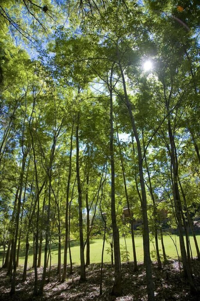 hotel rancho san cayetano