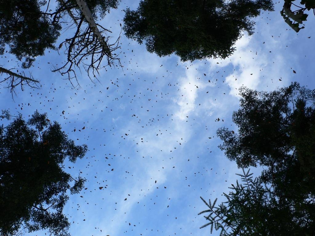 hotel rancho san cayetano