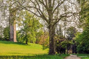 Hotel Villa Cagnola,Barzano>>Azzate,3 star