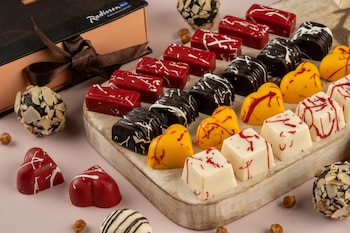 radisson hotel jalandhar grand windsor resorts ltd