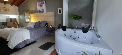 Loft Shakespeare L Private Jacuzzi L In Provence,,4 star