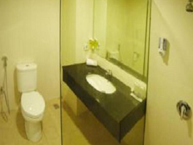 delta sinar mayang hotel