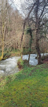 le clos du tulipier