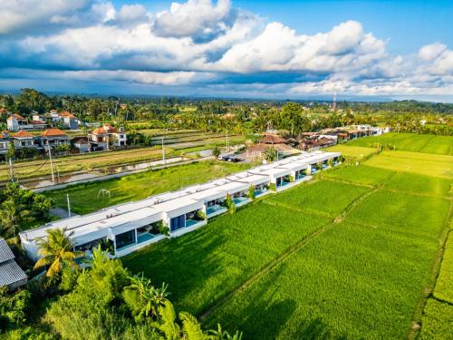 green flow villas complex ubud