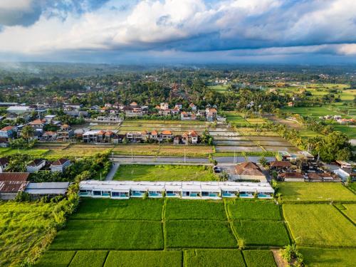 green flow villas complex ubud