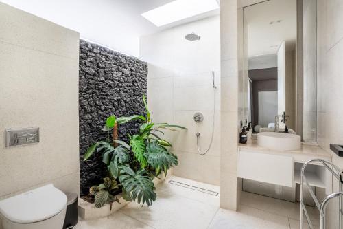 green flow villas complex ubud