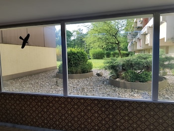 Ug Neubau City Wohnung (Optional Pool+Gym+2Tes Bad Extra Buchbar),,4 star