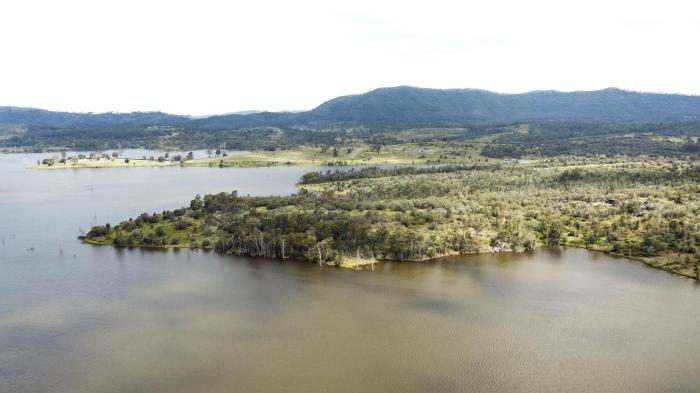 wander in the scenic rim