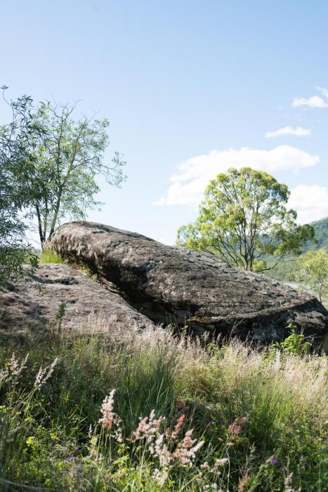 wander in the scenic rim