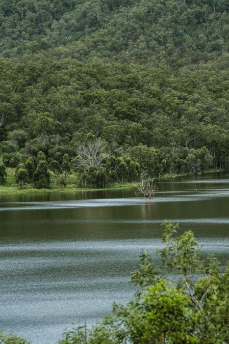 wander in the scenic rim