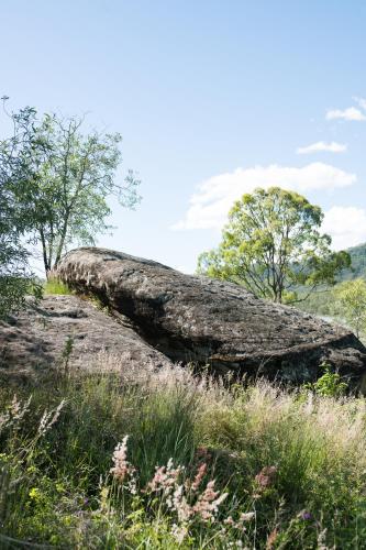 wander in the scenic rim