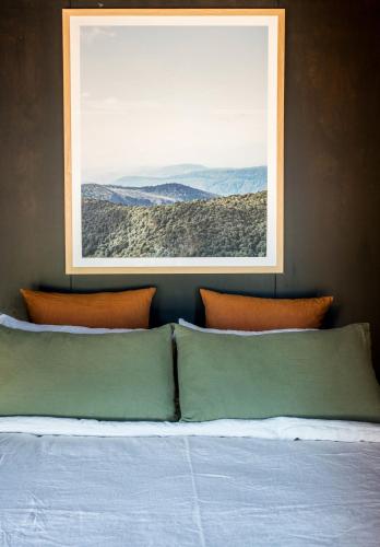 wander in the scenic rim