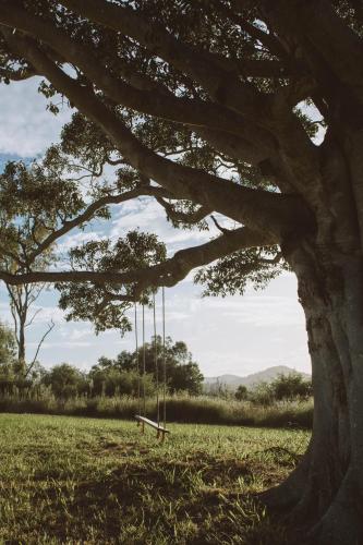 wander in the scenic rim