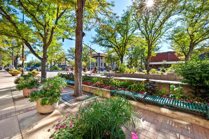fort collins