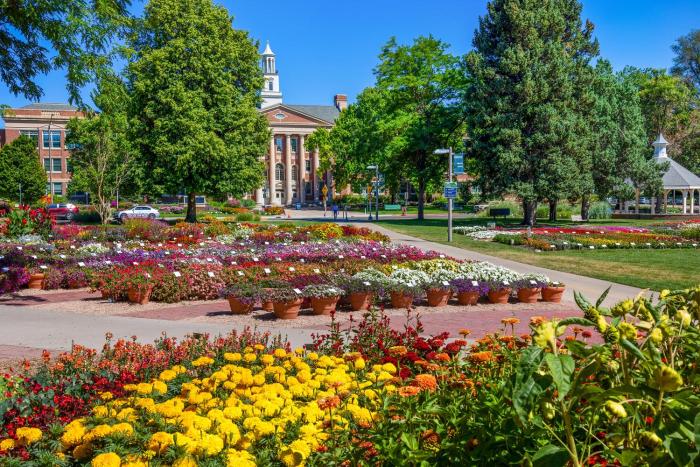 fort collins