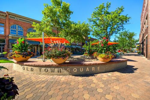 fort collins