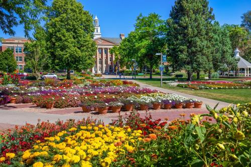 fort collins