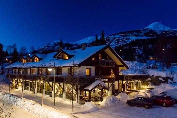 hemsetunet apartments