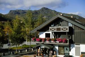 hemsetunet apartments