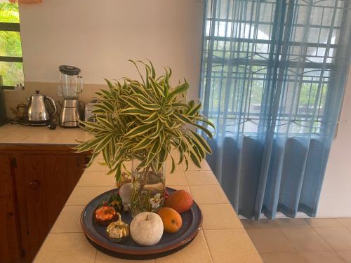 immaculate 3 bed villa overlooking admiralty bay