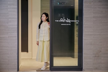 Anook Hotel Suwon Ingye 2,,3 star