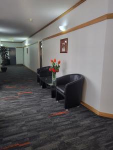 banksia motel collie