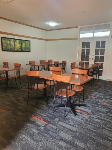 banksia motel collie