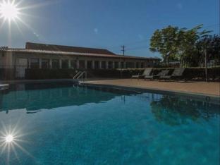 banksia motel collie