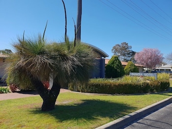 banksia motel collie