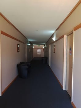 banksia motel collie