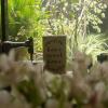 filatelia suites and travel