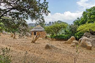 dynasty forest sandown accommodation