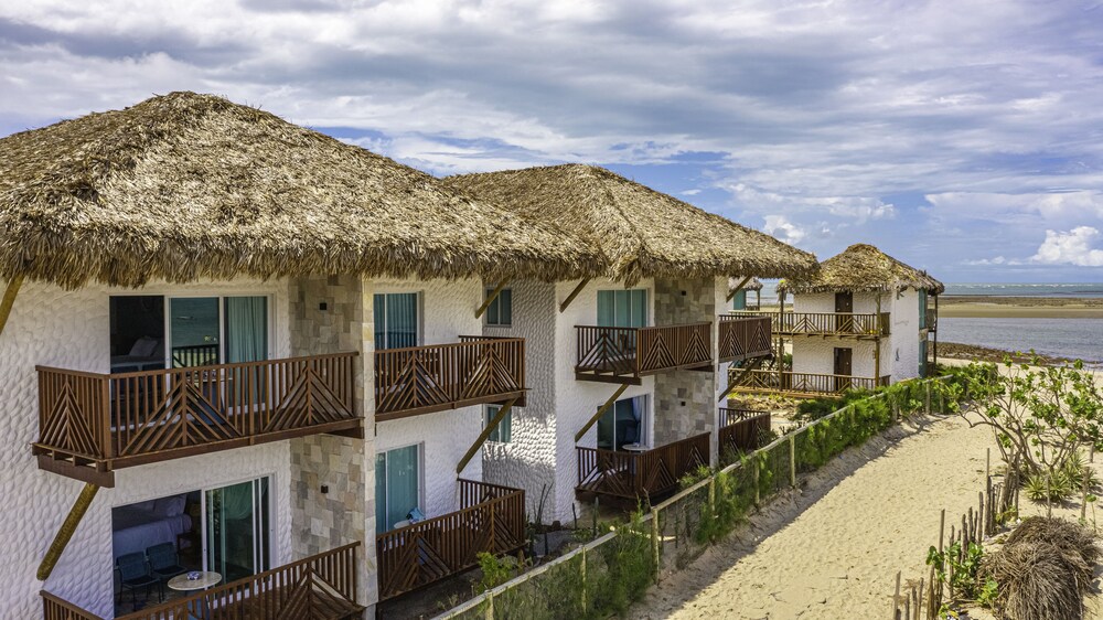 cajueiro da praia