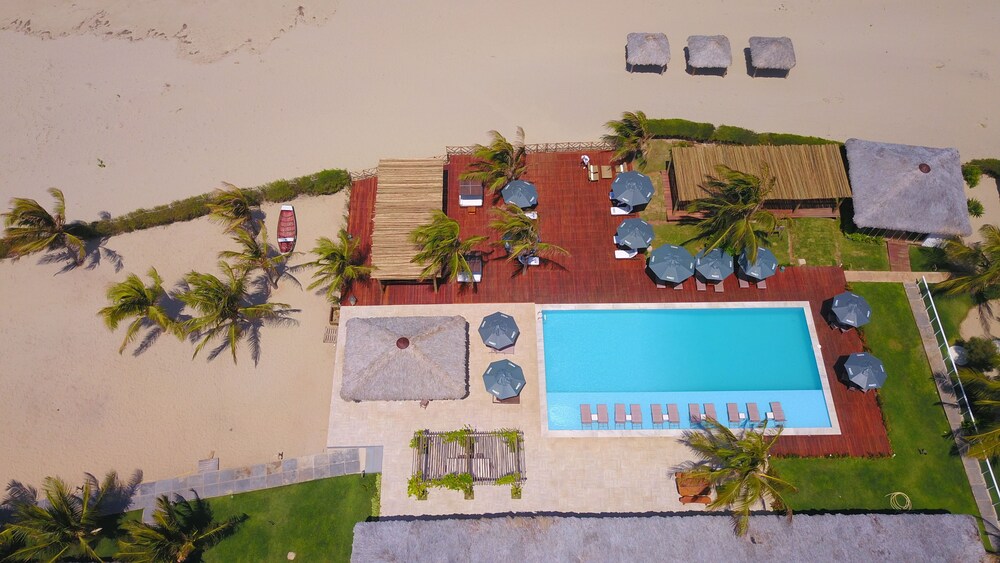 cajueiro da praia