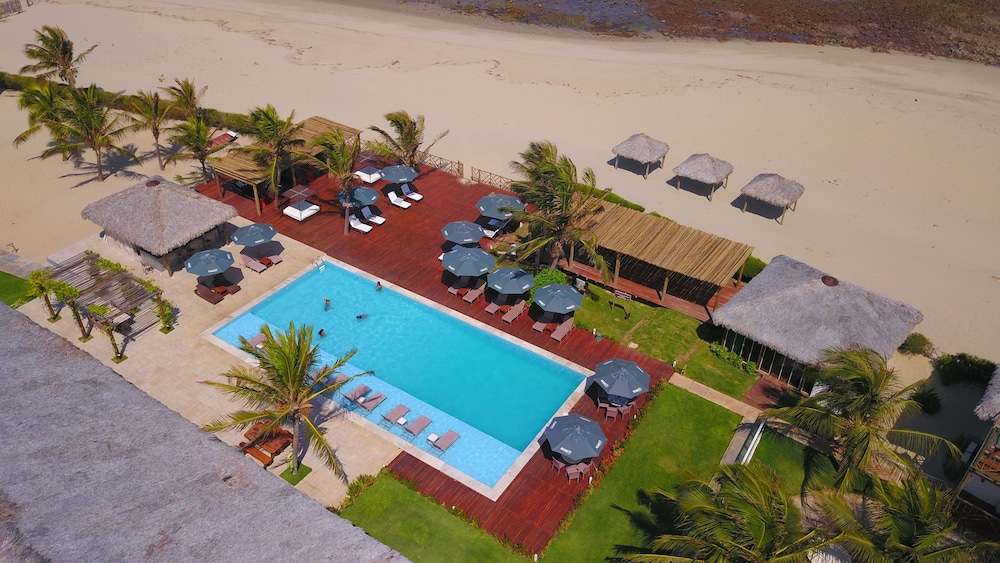 cajueiro da praia