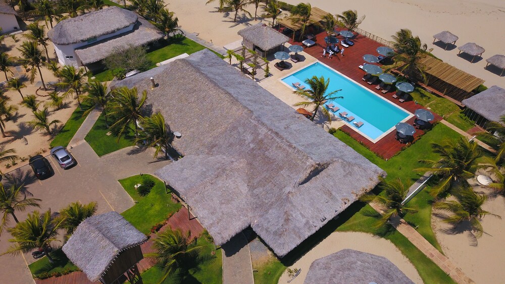 cajueiro da praia