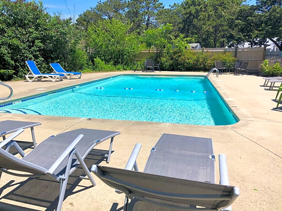 kingfisher oceanside